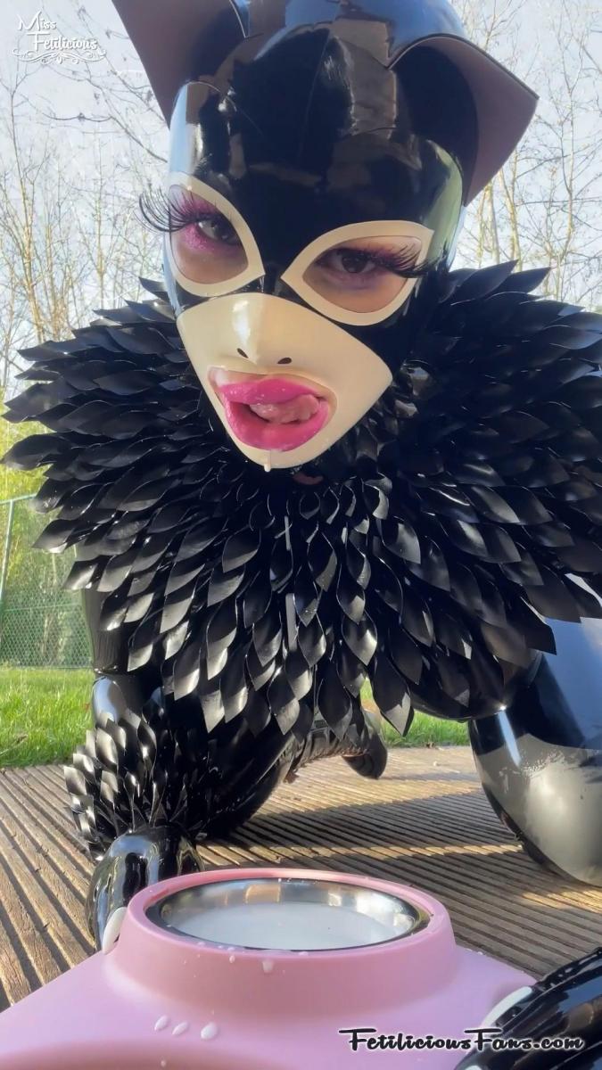 Black latex kitty undressing Having fun in and around the house in my black kitty outfit. And of course getting undressed again at the end of the day.<br><br>FetiliciousFans: <br>Саtеgоriеs: latex, fetish, rubber, doll, fetiliciousfans, bondage, shibari, rope bondage, shibaru, suspension, belts, bedtie, hogtied, tight bondage, strict bondage, bound elbows, struggling, ballgagged, helpless<br>类别：乳胶，娃娃，束缚，shibari，绳索束缚，shibari，悬挂，腰带，闺蜜，hogtied，紧密束缚，严格束缚，束缚肘部，挣扎，ballgagged，无奈<br>