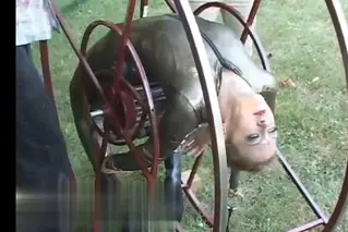 Spinner Spinner