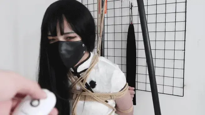 【伪娘人贩系列】在转手给下家之前，按照客户的定制，必须要对其进行超紧缚榨汁虐待训练，后面的穴还必须要开发到一定程度，否则卖不出高价，那就只能当做垃圾一样丢在马路边了。 1迷晕用垃圾袋给他装了回来，这是一个及其性感的肉丝旗袍伪娘，但是现在他也只能用楚楚可怜的眼神看着我了，他并不知道接下来他会面临着什么。<br>2他突然发现自己的前面敏感的地方突然传来震震刺激，完全无法抵抗，接着还有电击的骚扰，最重要的是在后面那里居然有东西在深入自己的体内？？<br>3他看起来有点崩溃，但是又用么？只能乖乖接受落入到我手里的事实了，他也只有被折磨得眼睛里充满着血丝的份了。<br><br>面具男的QQ1557709549（广西北海） JIOJIO的qq395444694（广西南宁）<br>诚招广西北海天津周边的绳模，女M CD都可以，男M等都也可以约玩体验。<br>需要专业麻绳，捆绑的绳子可以找面具男哦