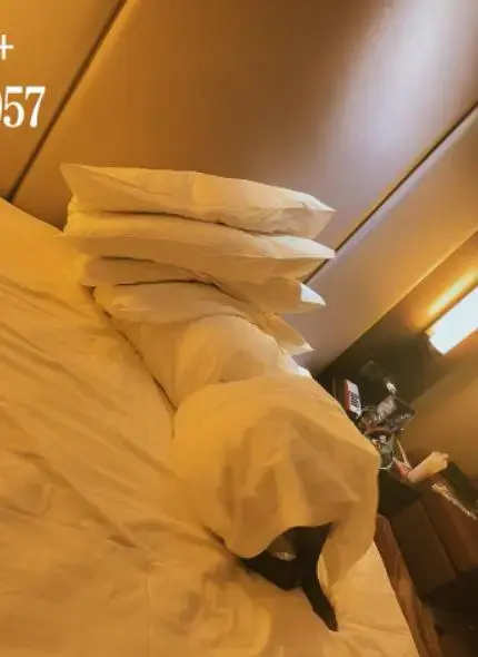 【咕咕0514】茶茶棉被全包闷绝合集，三个场景看个够，白色短袜、黑丝、肉丝三种服装，小腿拼命踢蹬挣扎~ 本次作品分为三个场景，尽可能满足大家的癖好~<br>场景1：<br>洛丽塔Lolita软妹风格的服饰 蕾丝花边短袜，用棉被完全包裹全包后用绳子缠绕，只有一双白袜小脚露出在棉被外，肆意挣扎。<br>同时在棉被外用手捂住棉被对茶茶进行闷绝，享受绝望闷热闷绝，只有花边白袜小脚露在外面不停踢蹬，萝莉的绝望感全体现在小脚丫的挣扎上~<br>场景2：OL风格黑色衬衫 黑丝，棉被全包，皮带拦腰勒紧。主打性感风格，纤细修长的大长腿大部分都露在棉被外，拼命踢蹬挣扎，可爱极了~<br>场景3：lolita肉丝棉被包裹挣扎，同样用绳子缠绕，双手隔着棉被闷捂限制呼吸。<br><br>定拍QQ<span style='color:#b0b0b0;'>[隐藏文字，购买后可见]</span><br>twi、tg同号：@bondageBAI<br><br><span style='color:#b0b0b0;'>[隐藏文字，购买后可见]</span>