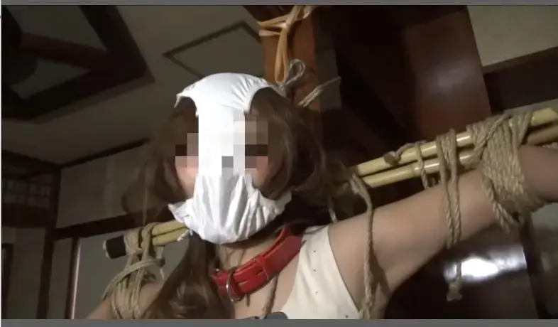 某大学教授の秘匿SM映像 VOL．4 极恶大学教授凌辱了各种各样的女人,紧缚捆绑勒嘴，内裤套头，羞辱玩弄<br>番号：<span style='color:#b0b0b0;'>[隐藏文字，购买后可见]</span>