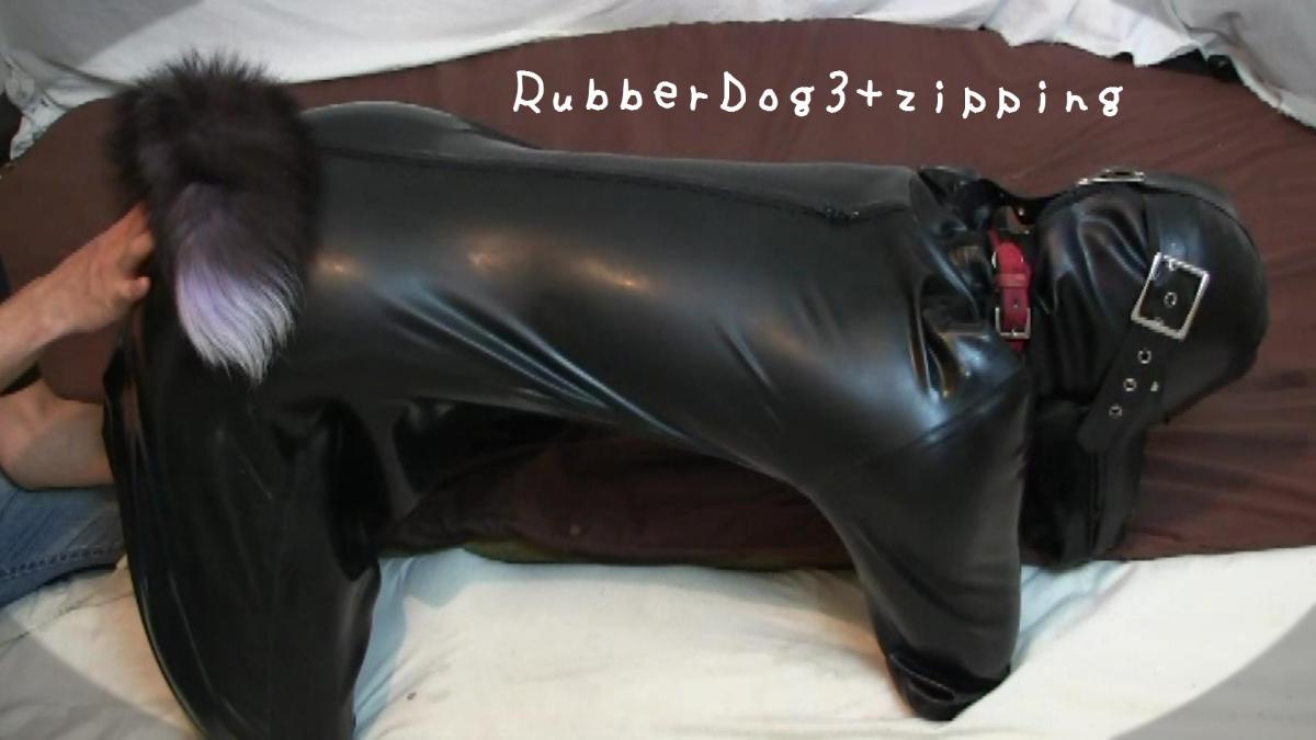 RubberDog3（ヒトイヌ生活3） レーベル: The 俺の世界<br>映像サイズ: 1280x720<br>データサイズ: 1.4GB<br>収録時間: 40分9秒<br>久々にラバードッグスーツを使って撮影した第３段。<br><br>今回は尻尾付きアナルプラグも使用して、更にわんこ感あっぷ！（？）<br><br>今まで知りませんでしたが…、このモデルさん、結構アナル弱いみたいでしたので、その辺も是非見て頂きたい所です。<br><br>モデルさんもペットとして扱われるのは結構好きみたいで、動きが犬としてノリノリな所も見所だと思います。<br><br> <br><br>ペットらしく犬として可愛がってみたり、<br><br>わんちゃんらしくボールで遊んでみたり、<br><br>尻尾をマッサージしてあげたり、<br><br>前回作成した圧縮袋フレームに入れてみたり、と結構盛り沢山な内容です。<br><br>おまけで、撮影後にマスクだけ取ってる時にも電マを当ててみたり…。<br><br> <br><br>ヒトイヌ好きな同志に是非見て頂きたい、そんな作品でした。<br><br>お楽しみ頂ければ幸いです。<br>[橡皮狗3]<br><br>久违地使用橡胶狗服的第三阶段拍摄。<br><br>这次我还用了一个带尾巴的[X_X]，让它更加狗狗！(?)<br><br>直到现在我才知道，但这个模型的[X_X]似乎很弱，所以我希望你也能看到这一面。<br><br>模特好像挺喜欢被当成宠物的，动作像狗一样我觉得是亮点。<br><br> <br><br>努力像狗一样可爱的宠物，<br><br>像狗一样玩球，<br><br>给我按摩尾巴，<br><br>内容还挺多的，比如放在上次做的压缩包架子里。<br><br>作为额外的奖励，我尝试使用电动按摩机，即使我在拍摄后只是摘下面具......<br><br> <br><br>这是一部我希望喜欢人类狗的同志们无论如何都能看到的作品。<br><br>我们希望你喜欢它。<span style='color:#b0b0b0;'>[隐藏文字，购买后可见]</span>有删减