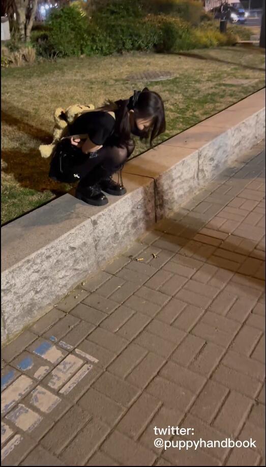 【萌犬】离家出走的少女1 （预告片，正片稍后发布） 双马尾loli 黑丝少女 不良少女 家出 萌犬调教 贞操带 掐波子 扼径 拘束 呼吸抑置 装箱 请关注新人 更多内容筹备中 大家好，我是萌犬奶喵，爹爹说我是一只小修勾，但本大人其实是脾气不好的小喵，会咬人。我和主人会把日常玩耍的内容记录下来，分享给大家，希望大家喜欢。