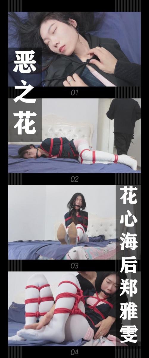 《恶之花·花心海后郑雅雯》 《恶之花·花心海后郑雅雯》<br><br>“如果正常途径无法让ta们得到惩戒，<br>那么就由我来落下神罚吧！就让我来<br>剪断这一朵朵恶之花...”<br><br>...<br><br>今天也是在普通的一天,舞池的queen郑雅雯<br>又接到了“追求者”的邀约电话...<br><br>新系列恶之花上线啦！<br>这次剧集里的“我”化身“正义园丁”用自己的方式剪断“恶之花”<br>希望喜欢的小伙伴多多支持关注收藏！<br>本集出演<br>琪梦饰演海后郑雅雯<br>琪梦我也定拍过几次了，平台上其他大佬也定拍了很多，真的很不错，挣扎表演颜值都值得一看！<br>而且这次是西装外套搭配包臀粉裙，白丝加白色过膝长靴！冲就完了！<br><br>同时把求生欲拉满，剧情纯属虚构，不对标现实人和事！<br>其他系列视频也请大家多多支持！可以查看我的主页和合集帖子，小伙伴可以点进去逛逛！<br><br>下载压缩包解压之后添加后缀.MP4即可观看<br>还有就是如果小伙伴遇到解压说文件损坏，请在解压的时候，找到其他，勾选保留损坏的文件再点确定，最后解压完成文件是存在没有损坏的，这是百度网盘下载之后的小bug