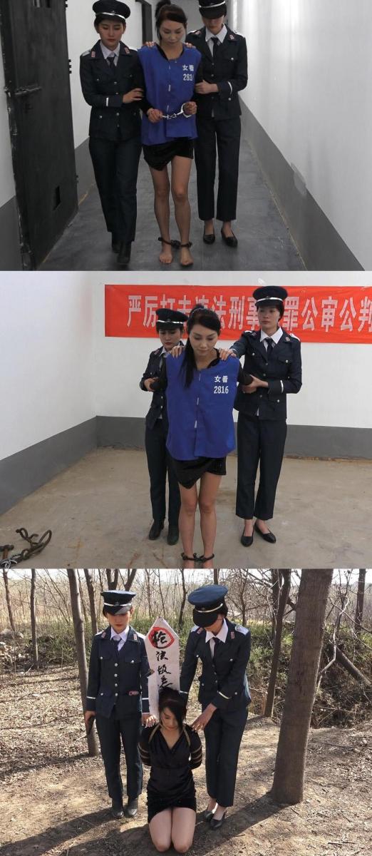 梨花雨 恶之花 女白领复仇的下场 剧情：年轻貌美的公司副总，因为记恨上司的压榨，为了报复上司，将上司的小孩绑架到自己的住处，结果意外造成小孩死亡，最后被我公安机关抓获，在铁的证据面前伏法认罪，走向人生末日。<br>【联系方式】QQ：3035514462 （定拍者加）其他勿扰