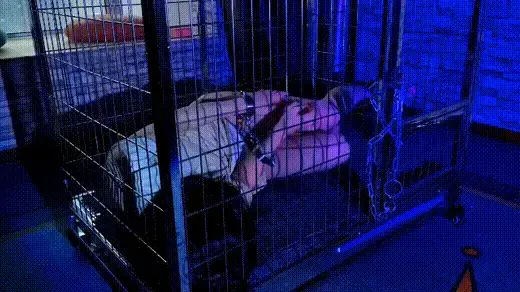 锁在笼子里饱受煎熬的女孩 小美女被戴上手铐脚镣锁在笼子里，从白天到黑夜，一直锁着，金属，背铐，口球 堵嘴、黑暗放置，挣扎、恐惧、无助，无奈体现的淋漓尽致。喜欢镣铐的同好们不要错过。视频解压密码：chuxin。<br>一绳所爱绳艺体验店面向全国爱好者开放，本店提供绳艺捆绑模特服务、体验女绳师捆绑服务、体验长时间囚禁服务、绳艺教学培训、绳艺交流会、场地出租、专业麻绳销售，原创视频套图销售、作品私人定制、模特原味丝袜出售等，另外本店招募同好合作伙伴。微信：351552501初心