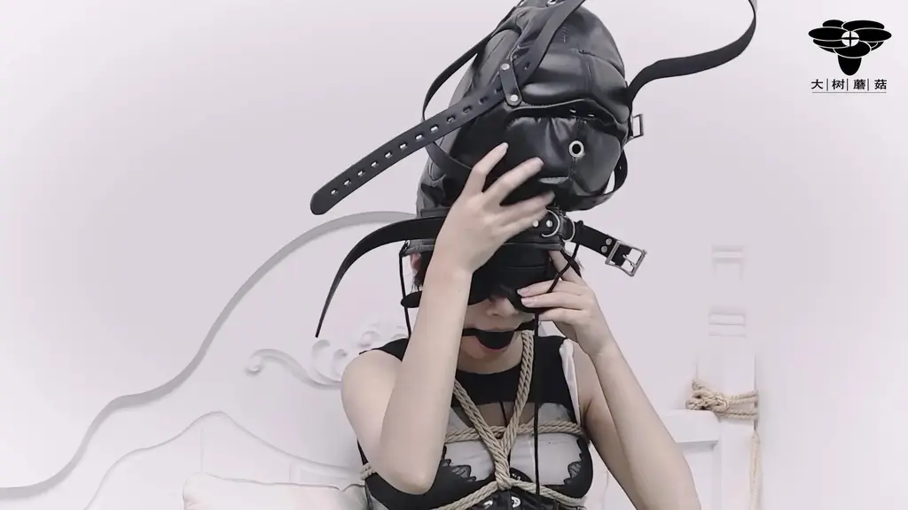 《我的自缚日记B》全包皮革头套+束腰+手铐自缚床上放置，本作在线播放已是完整版，需要网盘链接请私信作者获取，解压密码见隐藏文字。请大家多多支持。  <span style='color:#b0b0b0;'>[隐藏文字，购买后可见]</span><br>简介：本系列是哥哥给我拍摄的个人自缚录。