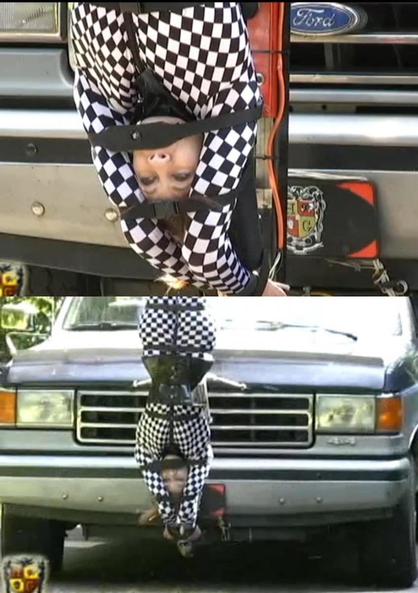 Inverted Mannequin Ornament 夏洛特最终成为了著名的戈尔德卡车上的倒置引擎盖装饰物。这花了一段时间，因为这些年来她一直忙于尝试其他一切。Charlotte eventually gets to become the inverted hood ornament on the famous Gord truck. It took a while because she has been so busy trying everything else over the years.