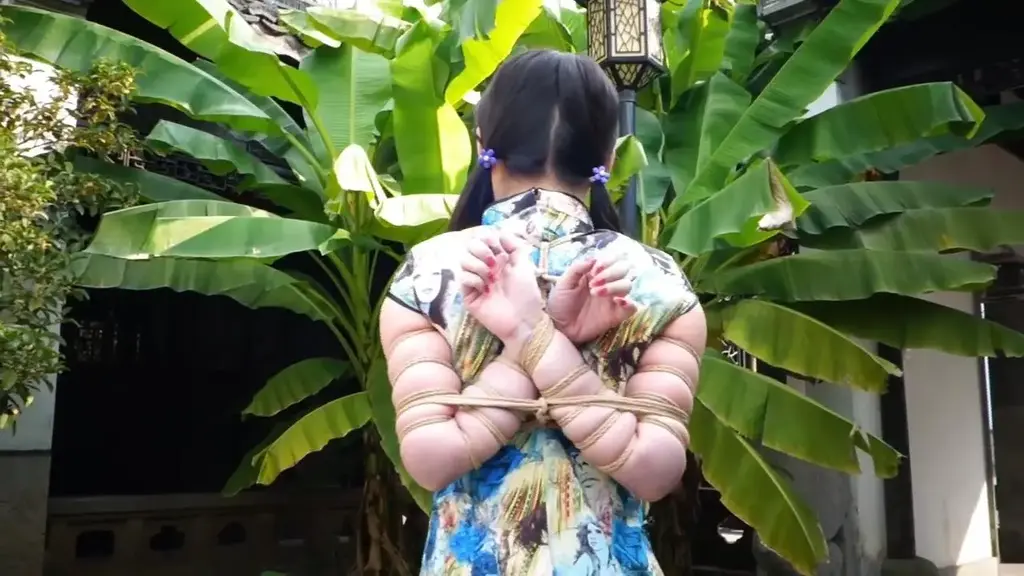 嫣儿户外 挑战超级紧的收臂五花 这次嫣儿来到户外挑战高难度捆绑，双股绳五花分别在胳膊上缠绕了七圈，然后横向一股绳收紧两边小臂，将两只胳膊在背后捆成W型，配上招牌的旗袍黑丝高跟鞋，十分诱人。