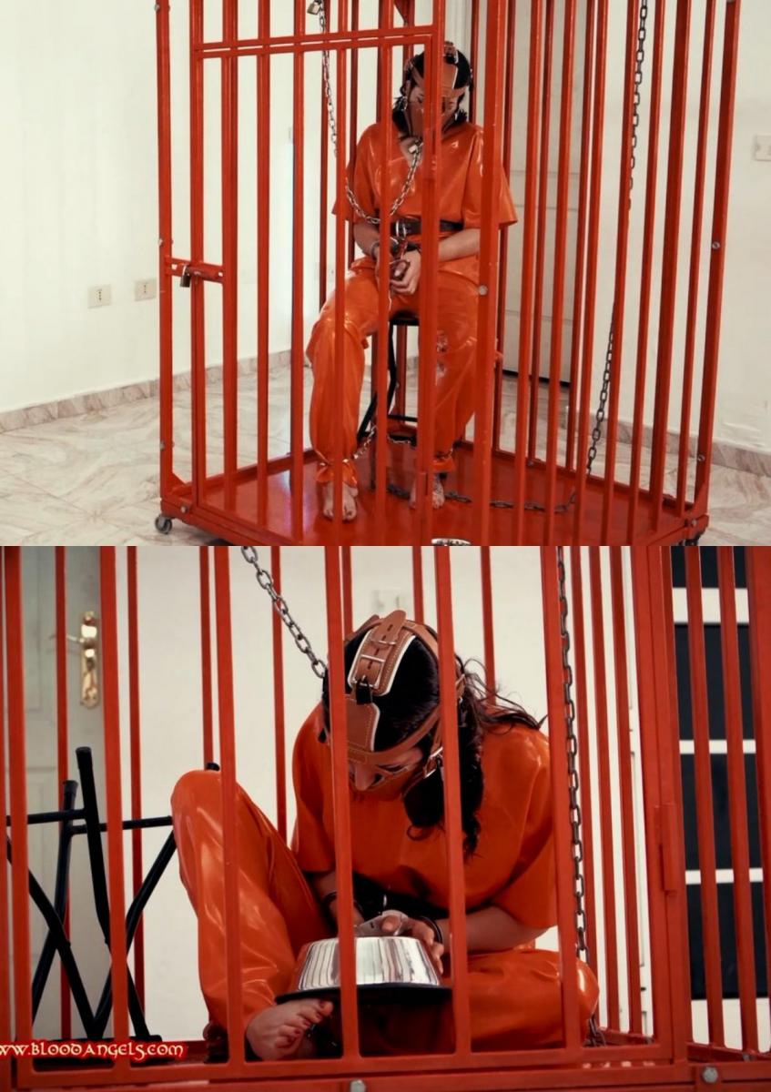 A HARD PUNISHMENT - PART ONE 严厉的惩罚-第一部分|血腥天使：西尔维娅·鲁比和丽兹·彩虹A HARD PUNISHMENT - PART ONE | BloodAngels: Silvia Rubi & Liz Rainbow