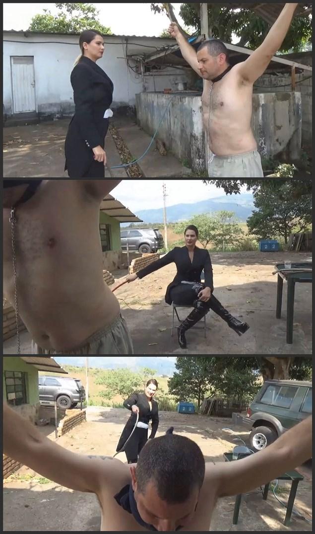 Bullwhip Punishment by Joanna 乔安娜的牛鞭惩罚 <br><br>在将近3年没有感受到牛鞭的咬力之后，我们崇高的乔安娜女神陛下决定今天开始对我进行牛鞭惩罚训练。这次训练的目的是提高我的疼痛阈值，让我学会喜欢我的女主人的鞭子，以及所有穿高跟鞋的拉丁美女的鞭子。我必须承认，最开始的鞭打是不可思议的。我的皮肤是如此焦虑，以至于鞭子的刺痛让我震惊。我知道，在一些课程之后，我将会爬着去找她的鞭子，并且绝对会喜欢它的爱抚！<br><br><br><br>Bullwhip Punishment by Joanna <br><br>After almost 3 years without feeling the bite of a bullwhip, Our sublime Majesty Goddess Joanna, decided to start my bullwhip punishment training today. This training is aimed to increase my pain threshold to learn to love the whip of my Mistress and the whip from all the Goddesses of Latin Beauties in High Heels. I must confess that the very first whiplashes were incredible. My skin was so anxious that the sting of the whip shocked me. I know that after some sessions, I will be crawling for her whip and will absolutely love its caress!<br><br>