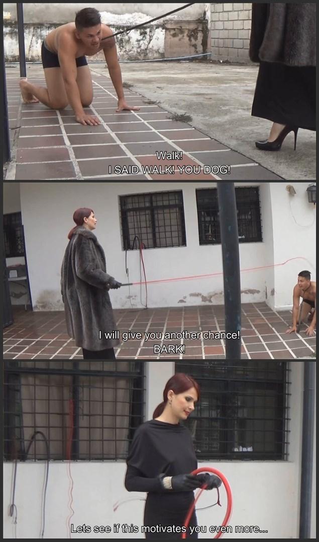 Doggie Trainning 101 by Joanna 训练狗狗101》 作者：乔安娜<br><br>美丽的乔安娜刚刚买了一只新的小狗。她今天要给它上第一课。这条狗必须学会服从和尊重她的鞭子。<br><br><br><br>Doggie Trainning 101 by Joanna<br><br>The beautiful Joanna just bought a new puppy. She is ghoing to teach him the very first lesson today. This doggie must learn to obey and respect the crack of her whip.<br><br>