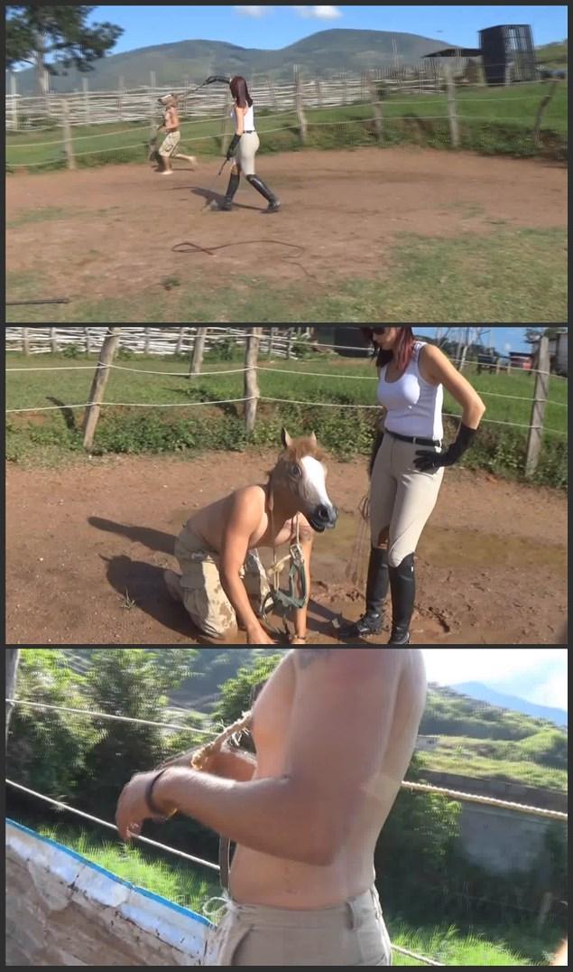 Human Equine Training 2 by Joanna 人类马匹训练2》 作者：乔安娜<br><br>乔安娜可能是世界上最强硬、最苛刻的人马训练师。她一直要求她的人马完美服从，但她也要求骑术练习必须优雅地进行，否则，她的坐骑将付出代价。今天，她正在训练她的人马皮鲁在圆圈中的隆起。她用了好几条鞭子，包括神奇的超长马戏团驯服鞭。这匹可怜的人类小马没有按照要求进行表演，他立即受到了惩罚。女神的装束令人难以置信...... 是骑马崇拜者的真正梦想。<br><br>Human Equine Training 2 by Joanna<br><br>Joanna is maybe the toughest a most demanding human trainers on earth. She demands perfect obedience from her human horses all the time, but she also demands that the riding exercises must be performed with grace and elegance, otherwise, her mount will pay the consequences. Today, she is training her human Piru in the round pen longe. She uses several whips, including the amazing Ultra Long Circus Taming Whip. The poor human pony fails to perform as requested and he is promptly punished. The outfit of the Goddess is beyond belief... A true dream for the riding cult enthusiast.<br><br>