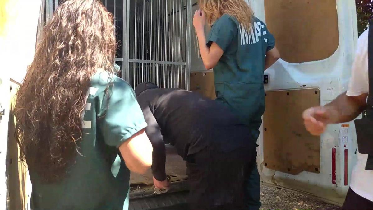 From picnic to jail - Part 2 After washing, Monique and Meelina are now on prison van. They dry up with paper on her body. Monique is in topless.<br>They wear green jumpsuit and they are chained to the cage of van with their hands in up position.