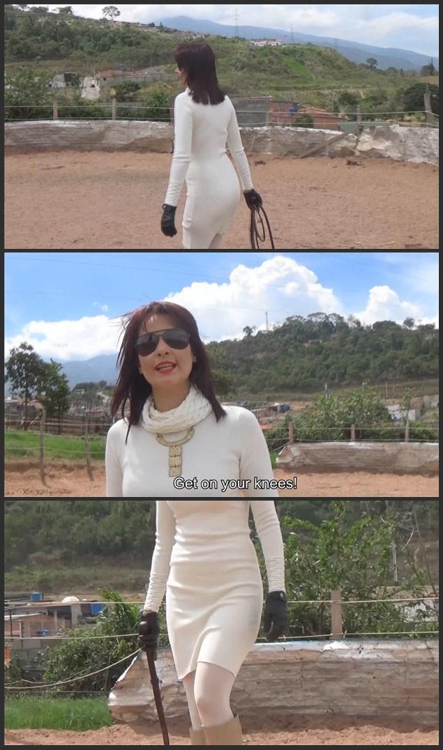 POV Elegant Boot Goddess by Joanna Joanna的POV优雅的靴子女神 <br><br>崇高的女神乔安娜从她忠诚的马靴粉丝那里收到了一份很好的礼物......一双极好的Sergio Rossi马靴！她穿上这双马靴后看起来简直令人心动！她穿上这双靴子看起来简直令人心动，今天她想去检查一下海德先生的最新任务，即清洁跑马场。然而，当她进入畜栏时，她注意到海德先生没有做任何工作，而且他坚持不断地盯着她的宝贝靴子......这足以让她生气，展开她的牛鞭，给海德先生一个很好的教训!<br><br><br><br>POV Elegant Boot Goddess by Joanna <br><br>The Sublime Goddess Joanna received a nice gift from her Loyal Boot Fan... a superb pair of Sergio Rossi Boots! She looks simply heartstopping with them and today she wants to check Mr. Hyde's latest assignement which was to clean the lungeing track area. However, when she enters the corral, she notices that Mr. Hyde has not done any work and that he insists on constantly staring at her precious boots... this is enough to piss her off to uncoil her bullwhip and to teach Mr. Hyde a nice lesson!<br><br>