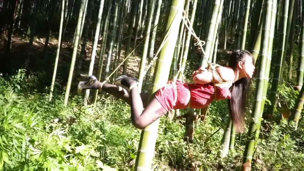 嫣儿户外 竹林吊缚 嫣儿户外系列，本次来到了竹林中，嫣儿身穿吊带红裙，被吊起固定在一根竹竿上，两腿夹住竹竿被高高吊起，[X_X]被竹子紧紧的顶住，然后再拉起股绳绳裤固定身体，戴上口枷和眼罩，十分有创意又羞耻的调教绑法，不容错过。头像右侧点击视频进入主页，关注更多嫣儿最新绳艺TJ作品。