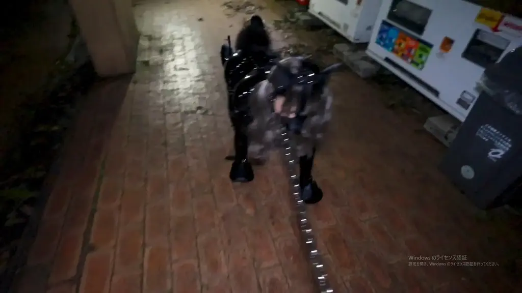 k9野外散歩 犬の格好でお散歩させられる