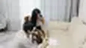 《树屋轻调》报复女老师， 成绩很差的男主又一次因为被女老师告状被父母训斥，然后假装好学生骗女老师灵灵来家里补习功课，强势的女老师又对男主白斑责骂，男主忍无可忍开始对老师灵灵进行了凌辱（迷晕+吊绑+QG 《树屋轻调》报复女老师， 成绩很差的男主又一次因为被女老师告状被父母训斥，然后假装好学生骗女老师灵灵来家里补习功课，强势的女老师又对男主白斑责骂，男主忍无可忍开始对老师灵灵进行了凌辱（迷晕 吊绑 QG M腿 口球）