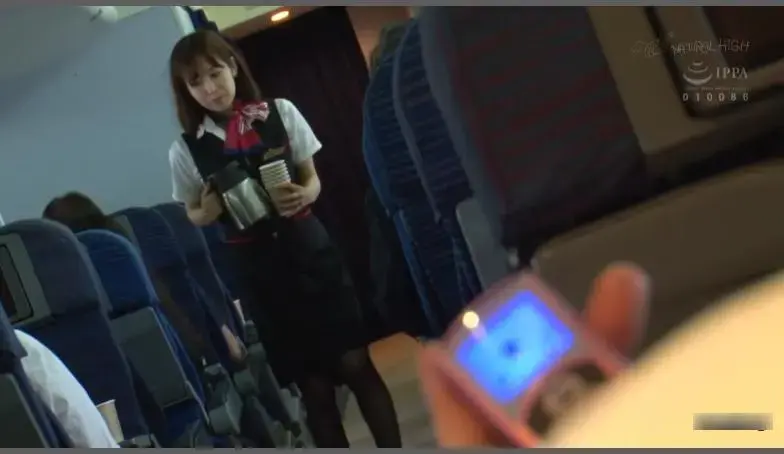  CA飛行機痴漢 4 豪華版中出しスペシャル 色狼师寻找极好的猎物而乘坐大型客机。美女空姐成为色狼的饵食。强制玩弄，有的被搞到当众失禁<br>番号：<span style='color:#b0b0b0;'>[隐藏文字，购买后可见]</span>