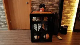 【心悦艺束】-无助的等待。CC试镜第二弹 这是在SM主题酒店的第二弹，我再去之前卖了几个道具发到附近的菜鸟驿站，所以就去取快递了。但是当然又不希望CC这么轻松的躺在大床上享受空调，我却顶着大太阳呀。所以就把她双手反绑装载了一个小小的囚笼里面，里面空间超级小，CC跪坐在里面只能把全身重量全压在腿上蜷成一团才能勉强放进去，在面上用模板拘束头部，堵上嘴巴，一个完美的美人痰盂就做好了哈哈。然后我就出去取快递去了，房间里空无一人，CC再难受也只能无助挣扎，最后几分钟已经可以很明显看出CC已经坚持不住了。<br><br>关于解压：百度云文件因为太容易和谐了。所以尝试使用双重压缩，第一个后缀名7z的解压文件解压出来之后，是一个后缀名.7的文件，改成.7z 即可正常解压。解压出来的视频，后缀名改为.mp4即可。如果有不明白可以加Q给你解答一下。<br>定拍，模特应聘，请加Q2386945992。最低20分钟内的视频500即可。<br>海外用户请用Telegram：xybondage。<br>或者联系邮箱：xybondage@qq.com<br>视频中的衣物，丝袜，道具有需要的也可联系我。<br>解压密码是：xyys<br>视频格式：1080P 50帧