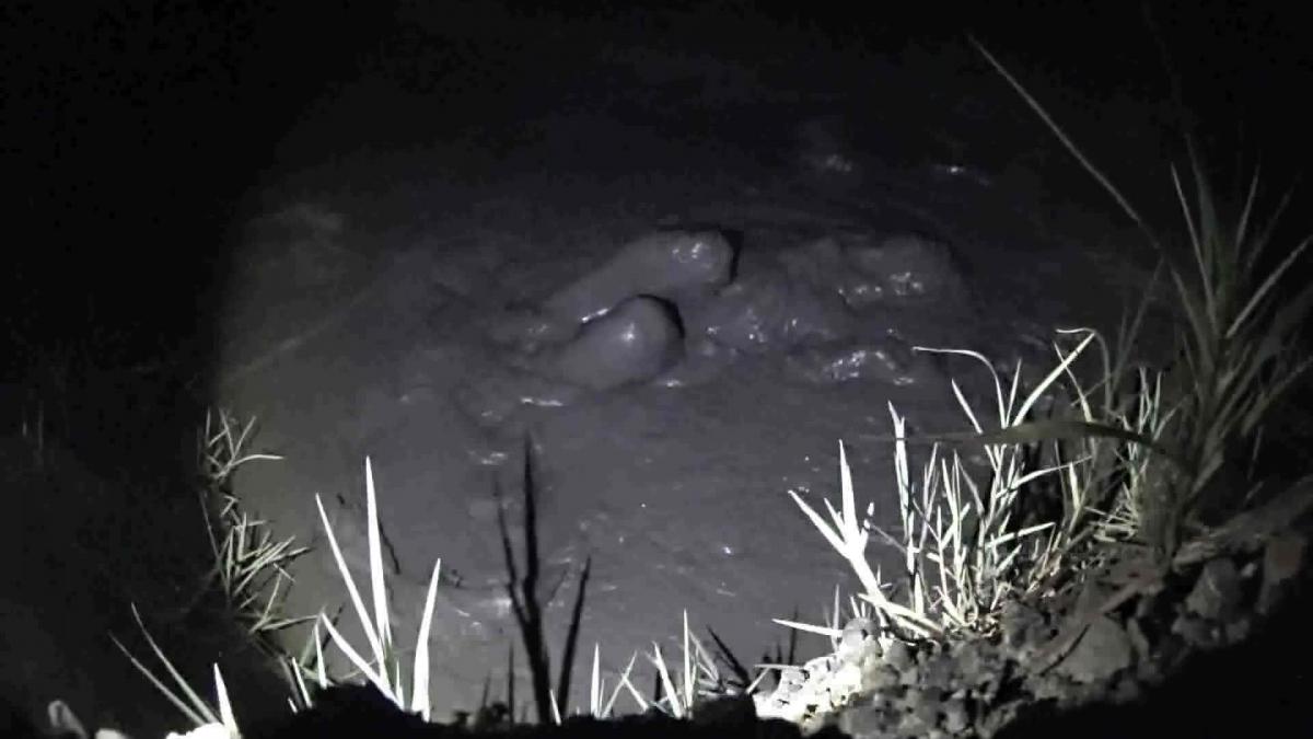 Quicksand 02 自购分享——胶泥茧子<br><br>スパンが短めですがまた泥んこ遊びの動画撮影してきました！<br><br>ねとねとの濃いめの泥だったのですごく楽しかったです✨<br><br>今年は寒くなってきたのでQuicksand 系の動画は最後かなーと思います。<br><br>cmcとかの泥とかでも一回遊んでみたい...<br><br>おそらく来年になりますが、またどろんこの撮影はしたいと思っているのでお楽しみに！