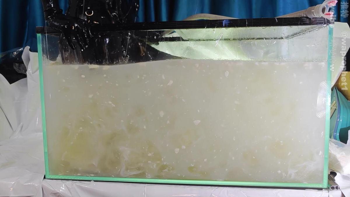 黑胶透明jk，45l厘米gs塞入，白色酸臭发馊粘液鱼缸浸没 继上次的黑胶透明jk真空床视频之后<br>黑胶透明jk 45厘米[X_X] 白色粘液浸没<br>粘液里加了大量的白色素和淀粉<br>白色的粘液透明度几乎为0，根本看不见我在里面，悲<br>为了等淀粉溶解放了一晚上，结果粘液有点馊了，把我整吐了<br>（视频前段为前情提要），前情提要是竖屏，粘液是横屏，两个要剪一起于是就把粘液部分旋转了，希望不要介意（<br>百度网盘文件为双层压缩文件防和谐，下载后解压一次，将解压的文件后缀重命名为.rar后再解压一遍，解压密码114514