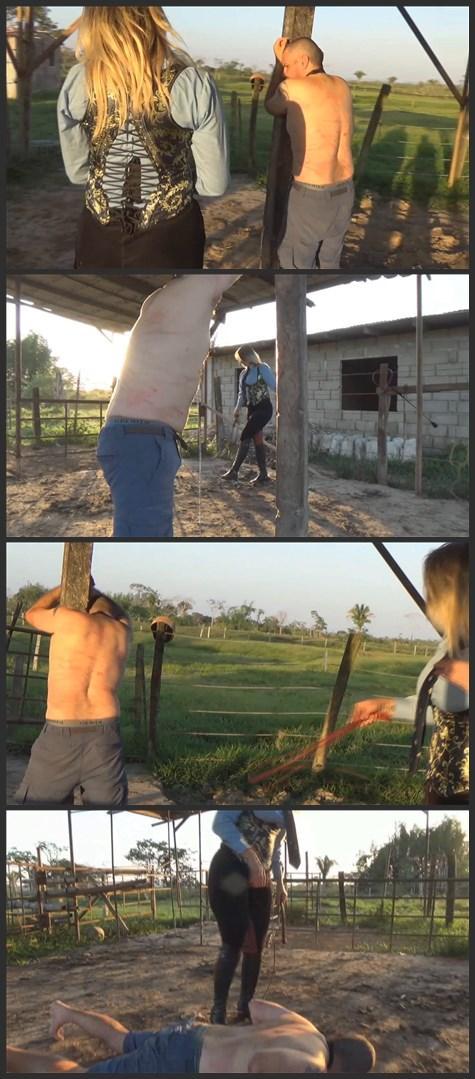 TF The Whipping Pillory of the Farm of Pain by Joanna  <br>TF The Whipping Pillory of the Farm of Pain by Joanna<br> <br><br>There is a sacred place thas perfectly known and very feared by every slave in the farm of Pain... It is, without a doubt, the whipping pillory. This is equivalent to the punishment square of the Hard Riding Farm... A place in which male slaves are taught to fear and to obey the power of the Goddesses of the Farm of pain! It is something very weird... because with the proper training and with enough time... we, as slaves, learn to love that magic place... we learn to love the noble pillory... we learn to know how to grab it... when the bullwhip of our Mistress is letting us to know what is our place in this world... when they are teaching us to be better slaves... better men...<br><br>Her Sublime Majesty Joanna, The Supreme Queen of the Farm of Pain will enjoy the pleasure of bullwhipping today... at this sacred place... for her delight and for your amusement. Enjoy!!!!<br><br><br><br><br><br><br><br>TF 痛苦农场的鞭刑柱 作者：乔安娜<br> <br><br>在痛苦农场里，有一个神圣的地方是每个奴隶都非常熟悉和惧怕的... 毫无疑问，那就是鞭刑柱。这里相当于苦痛农场的惩罚广场...... 在这里，男性奴隶被教导要敬畏 并服从痛苦农场女神的力量 这是一件非常奇怪的事情......因为经过适当的训练和足够的时间......作为奴隶，我们学会了爱上那个神奇的地方......我们学会了爱上高贵的柱子......我们学会了知道如何抓住它......当女主人的牛鞭让我们知道我们在这个世界上的位置......当她们教我们成为更好的奴隶......更好的男人<br><br>痛苦农场的至高无上的女王乔安娜陛下今天将在这个神圣的地方......享受鞭打牛鞭的乐趣......为了她的快乐，也为了你们的娱乐。享受!!!!<br><br>