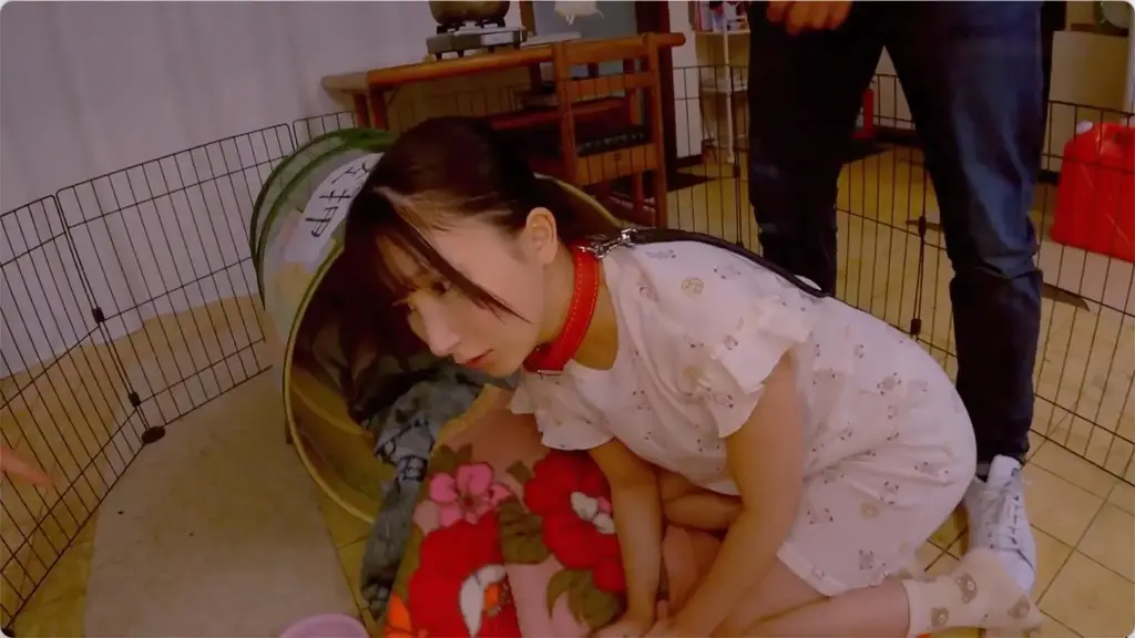 「円周率×半径×女の子」の公式を使って借金で家なき子になりドラム缶に住まざるえない令和版かぐや姫の解を求めよ 由良かな 番号:<span style='color:#b0b0b0;'>[隐藏文字，购买后可见]</span><br>发行日期:2023-08-15<br>导演:小松セブンティーン  <br>制作商:山と空  <br>发行商:山と空  <br>类别:单体作品 监禁 魔鬼系	<br>演员:由良かな<br>剧情：训练调教狗狗。