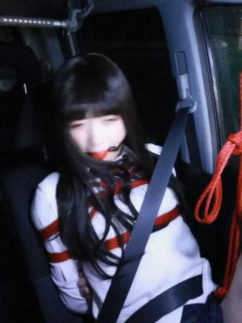 Lemon: 10分〜【制服緊縛ドライブ】complete plan 主人今天想带人家出门嘛？欸为什么又要被绑在车上走真的很羞耻啦，好歹窗口贴个黑色的膜嘛，呜呜好大的口球快要受不了啦！不行，不能停在停车场会来人的（果不其然开来一辆车吓得Lemon想趟倒）好羞耻~主人快开走！！（他们的确在朝我们车走来欸，走啦走啦）又是不当人的一天啊！