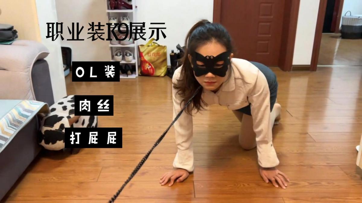 职业装K9 洋洋祖传的OL制服上线，搭配性感的肉色丝袜，罚跪，罚蹲，鞭打屁屁，口叼项圈，k9喂食，可爱的犬酱<span style='color:#b0b0b0;'>[隐藏文字，购买后可见]</span>