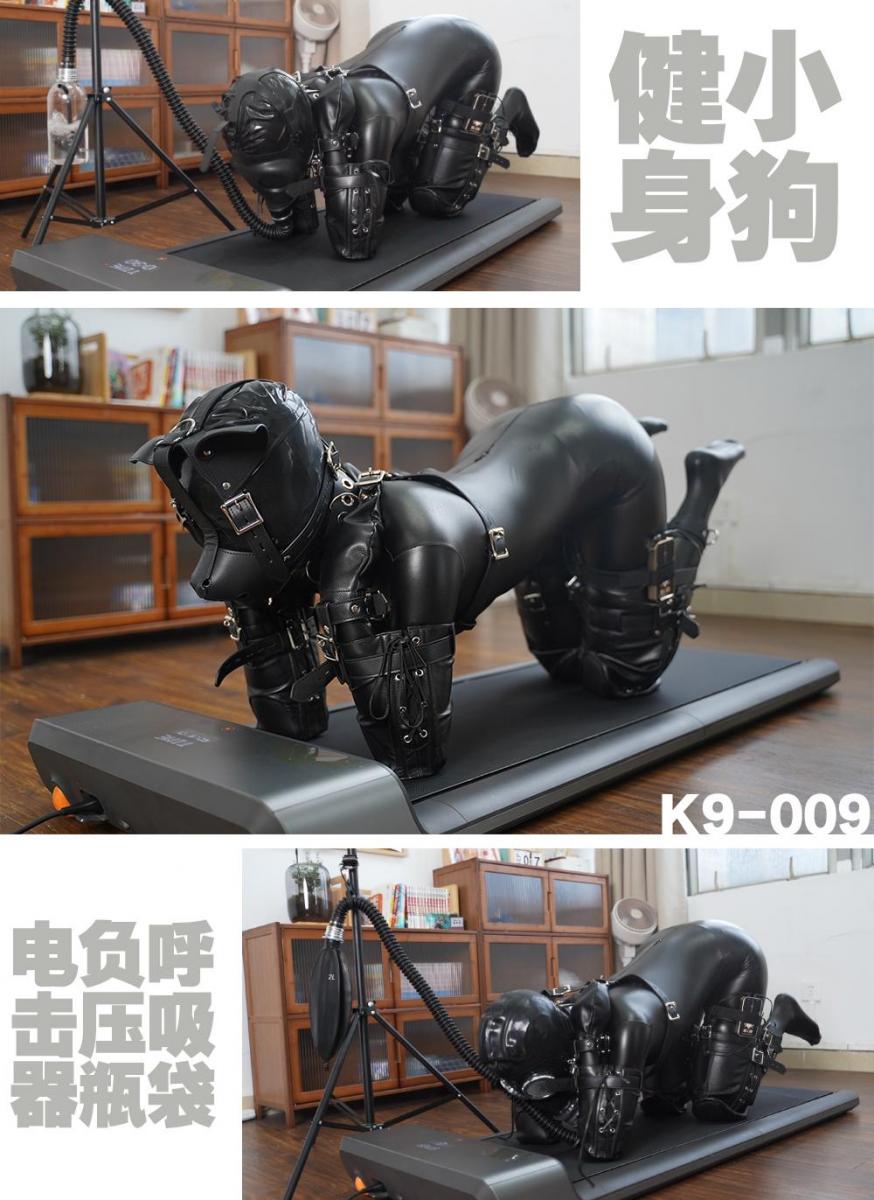 【闪闪工作室】- 健身的小狗承受着电击呼控的折磨在跑步机上反复爬行真实缺氧倒地 - 爬了一小时直接累瘫 - 世界的潮流是跑步机，在众多群友粉丝的呼吁下，我也跟风买了台平板跑步机，目的很简单，绝对不是用来正常使用的<br>这次时雨怎么也不肯再执笔写小文，所以还是由我来写了，不过在写之前大量地采访了时雨的感受<br>本来想着用胶衣搭配这期的K9，但是考虑到胶衣太束缚时雨的动作，所以采用了涂胶ZENTAI方案，事实上连涂胶ZENTAI也很难在跑步机上爬动，在开拍前时雨就练习了很久才适应能保持在跑带上<br>（不能用国外玩家来对比，爬行这运动用到的肌肉群和日常的不同，个体差异也有很大影响）<br>当时雨表示练习好的时候，我在她的ZENTAI头套上再套了一层乳胶头套，这是确保之后的防毒面具和头部紧密贴合，在带上狗狗头，造型就完成了<br>变成小狗的时雨乖乖爬上了跑步机，我温馨提醒了跑步机的启动倒数，跑带就开始启动起来<br>被多套一层头套的小狗视野变差了，爬起来又有点不适应了，我把速度降到0.5km/h，好让她再练习一下，一旦调到1km/h，小狗就有点吃力，看起来很费劲地爬行着<br>我跟小狗说了，一旦掉出跑带，就会被电击惩罚<br>速度1.5km/h，小狗受惊一样，呜呜呜地用尽全力爬行，才能勉强保持留在跑带上，但终于因为体力不支，最终还是摔出了跑带<br>小狗也得到了她的惩罚，被打开电击，还得在电击的状态下继续爬行<br>看到这小狗一直低着头爬行，突发奇想把吊点连在她头顶的扣子，这样她只能强制抬头，而且还不能落后，不然头就被扯起<br>又爬了一段时间，看小狗已经累得不行了，就让她休息一下，顺便下手抚摸她以作奖励<br>但是离结束还远着呢，给小狗戴上防毒面具，连接上了负压瓶<br>负压瓶跟锻炼的画面非常完美结合，水压的跳动反映着小狗短促的喘气，很快让她无法继续爬行摔出跑带，还把负压瓶的支架弄倒了<br>这样的话惩罚就必不可少了，小狗被连着负压瓶被电击着，还被我用震动道具刺激着，差点就把她弄飞升了<br>不过还不能飞升，最难的部分在最后，呼吸袋连接的爬行<br>虽然没有水压的声音，但呼吸袋的一张一缩更有制息的张力，小狗马上呜呜呜地表示难受，但也是得被逼继续爬行无法停下<br>最终小狗还是摔出了跑带，倒在地上无法再起来，一直摇头表示抗议。但惩罚是说好的，这时候不但没有解开她的袋子，我还用脚踩住袋子的空间，并且继续用上震动道具进一步刺激，令小狗直接飞升<br>以下引用对小狗当时的采访感受：<br><br>那会我已经进入空白模式了，忙着喘气还要被刺激，直接gc，然后你拔掉呼吸袋的时候，就感觉突然吸入很多氧气，整个人就从一个状态进入另一个状态，也升天，感觉是另一种gc<br><br>【网盘文件先下载到电脑，解压得出的文件后续名html修改为zip，再解压一次】<br>【不要在网盘解压与播放】<br>解压密码：shanshan