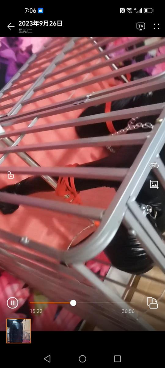 狗笼棉被 小奴被跪锁狗笼.加棉被捂闷。。。。