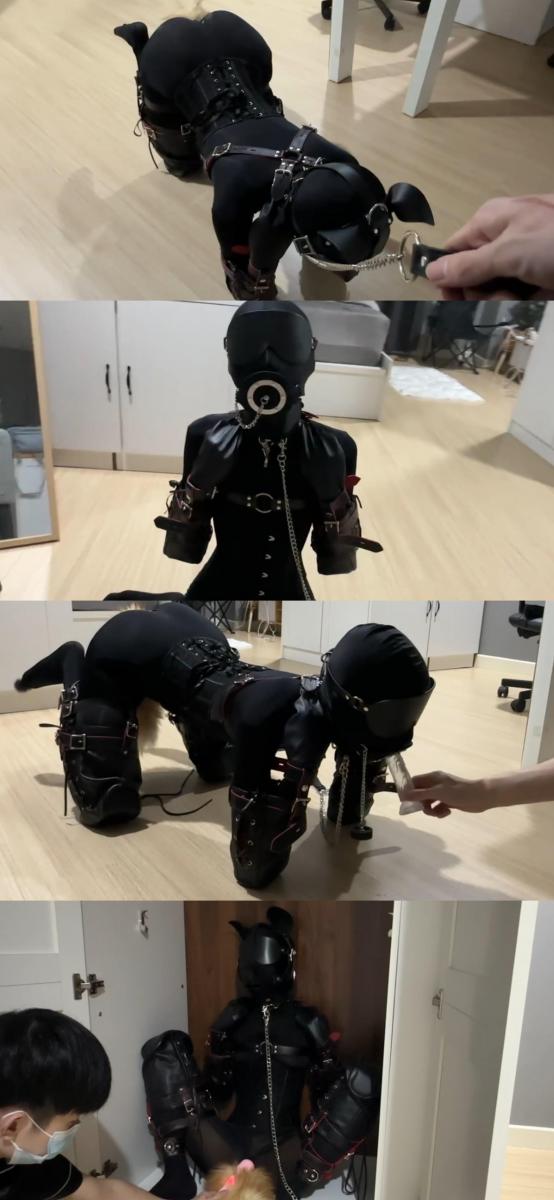 【恋鱼日记】小鱼的K9多项训练(上)  爬行遛狗 开口器练习口J 被放在衣柜里强高 这次是比上次更完整的K9深入训练 一开始小鱼穿好连体衣带上了狗狗面具 K9套装 塞上小狗尾巴 怕太久没变小狗生疏了 先练习爬行一会 <br>之后带上开口器 强制嘴巴张开 这个还是比较辛苦因为开口器对小鱼来说有点大 把水晶JJ立在地上让小狗自行训练 这次先来个初步的 下次再让它深喉<br>口J训练之后 把它放到衣柜里关一下会 再用ZDB强高 把小狗爽的嗷嗷叫<br><br>（感谢大家对恋鱼日记的支持