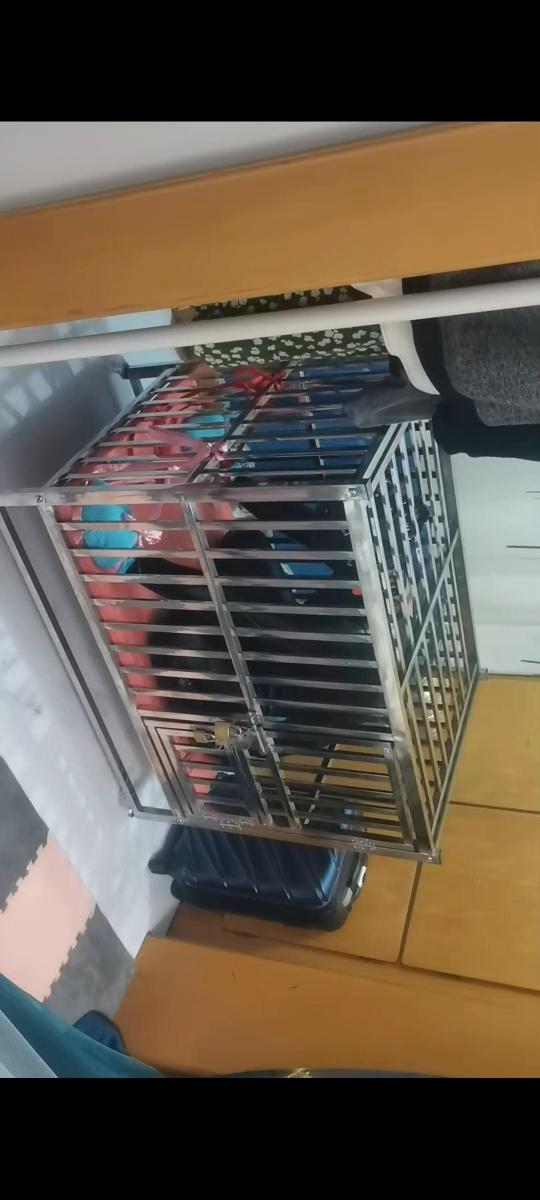 囚禁新篇一 工作了一天的女主。差点忘记家里还有个奴被囚禁着.......奴的命运如何敬请欣赏.欢迎定拍。联系QQ1223775934