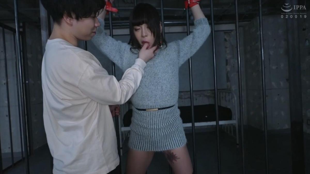 付け回しレ×プ <span style='color:#b0b0b0;'>[隐藏文字，购买后可见]</span><br>何者かにつけ回されていたイヴ。唐突にSとMになる媚薬を飲まされ、意思に反して身体が火照っていく。ビンタや首絞めなど、痛いはずなのに下半身は素直に反応。今までにない[X_X]がイヴの心を満たしていく。