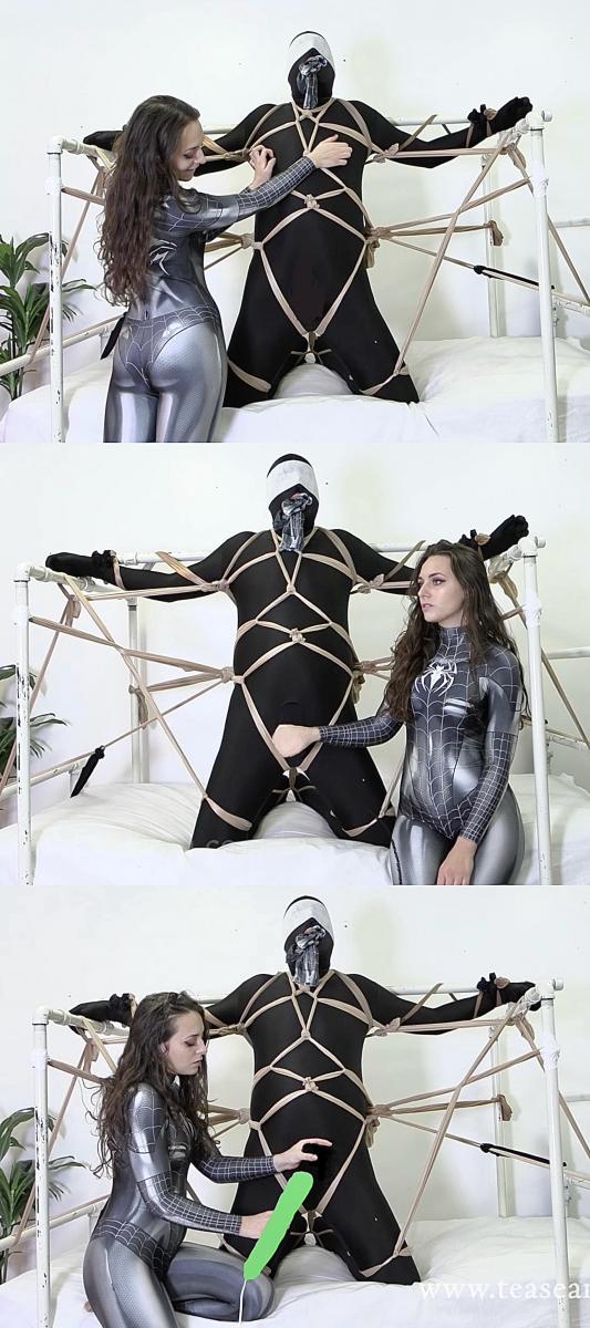 Wicked Web Lucid女王化身蜘蛛精狂虐丝袜捆绑男M。<br>服装：<br>蜘蛛侠连体紧身cos服 油亮肉丝(裤里丝)<br>玩法：<br>丝足踢踩 手搓边控 毁灭流精 快乐棒强高榨汁<br><br><br>Lucid女王简介：<br>摄人心魂的双眼，高挺的鼻子，某些角度看上去神似迪丽热巴。<br>微胖匀称的身材也是十分养眼，算得上是TAT工作室二号人物。<br>不同于Mandy女王精湛的边控手活，Lucid更擅长器具强高榨精。