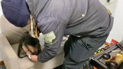 大学生应聘，没想到误入人贩子公司，遭到人贩子迷晕捆绑   醒来之后害怕，紧张，恐惧 豆豆是一名大三学生，平时没课就在网上找工作，在网上看到一家公司，于是投简历到该机构面试。没想到。她应聘的是一家。人贩子公司。人贩子先给他一杯水，喝了之后迷晕，捆绑，豆豆醒来之后。害怕。恐慌。不知说错。两名员工秘密来到对方公司盗取对方公司宝石，没有想到反被对方高手捆绑。极限放置，两名员工对话商议如何逃跑。本工作室提供绳艺捆绑模特服务、室外定拍，体验女绳师捆绑服务、体验长时间囚禁服务、绳艺教学培训、专业麻绳销售、作品私人定制、模特原味丝袜出售等，另外本店招募同好合作伙伴。郑州及附近地区兼职女绳模，待遇优厚，工作时间灵活。定拍约拍。v:a156185529 <br>QQ156185529<br>解压密码168168<br><br>
