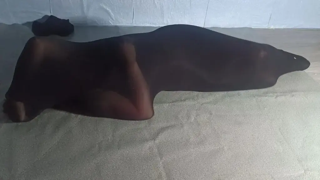 空之镜原创 约的小m第一次体丝袜包裹，不只是她，我也是第一次用手机拍摄，所以画面有一些别扭，下次不会了。后续会有更好的创意拍摄出来。欢迎关注。也欢迎私信来提建议和交流；<br>欢迎福州附近同好约包