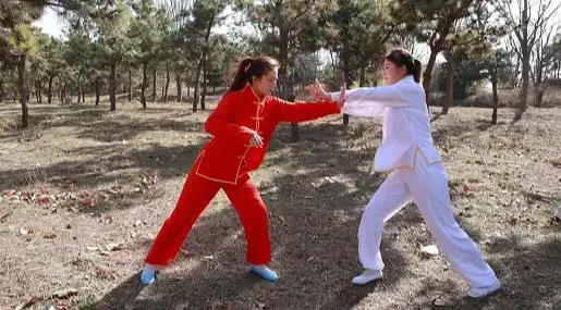 莲花教 武侠剧情片（御仙定拍） ：清代嘉庆年间，吏治腐败，百姓流离失所，爆发了白莲教起义，起义失败后，王春儿隐居不在问世是，此后清廷女爪牙——巫雅练成金刚神功，决战陈氏太极拳传人陈雪露。女爪牙为了帮助清廷获得陈氏太极拳的精髓，以便报效清廷，从而达到削弱民间武林义士的反清士气，向陈氏太极传人陈雪露下了战书，双方立约：清廷若胜，陈氏太极拳练武场所以及太极拳谱收归清廷所有。清廷若败，不允许再度骚扰陈氏太极拳门下弟子，允许陈氏太极拳弘扬武学。如果一方打擂时身亡，则决斗自动结束，另一方自动获胜。王春儿得知情况后决定复出助陈氏太极一臂之力，那日正是巫雅和陈雪露第一场PK<br><br>另外本工作室招聘模特有意请联系客服了解！<br>坐标郑州QQ：1756718889【注明来意】本工作室招聘模特有想了解的可以加客服QQ了解<br>解压密码：yu12<br>