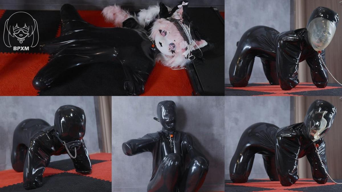 【小萌同学】乳胶衣k9套装，兽装和乳胶头套控制呼吸调教，闷绝到哭 网盘html的格式改为rar <br>小萌又变成了乳胶宠物。但这一次有点不同。首先，她没有戴狗狗束缚套装。相反，她穿着一套狗橡胶套装，覆盖了她的整个身体，迫使她的四肢向内折叠。而且，她看起来更像是一只“人猫”而不是“人狗”。因为她还戴着一个毛茸茸的猫面具，遮住了整个头！<br>一切都是从粉丝游戏开始的。有的四肢行走，有的打屁股，还有的震动性[X_X]。这些都是很好的练习，小萌已经有点上气不接下气了。别担心，我们会摘下你的面具，让你自由呼吸。好吧，猫面具下面是一个橡胶面具，它是狗橡胶套装的一部分。它只有嘴和鼻孔。所以她从一开始就什么都看不到！<br>现在，让我们将游戏提升到一个新的水平。首先，让我提醒大家0.1毫米针孔口罩的噩梦。这对她来说仍然是一个艰巨的挑战，但她能够通过在人猫套装中进行一点操作来作弊。这是不允许的，所以我用脖子上的项圈把面具封得更紧，她就再也逃不掉了。<br>一旦我对针孔面罩感到满意，我就把它取下来，把管塞放在她嘴里，用假[X_X]玩弄她的嘴。嗯，对于她来说，这个部分比针孔面膜部分更轻松吧？<br>最后，我给她戴上了带有小呼吸孔的乳胶头套进行闷绝，并让她尽可能用四肢支撑住。在这个面罩内呼吸比在针孔面罩内呼吸更容易，但时间是她的大敌人。几分钟过去了，仍没有释放，她终于崩溃了，失声痛哭起来……<br>谢谢你的辛勤工作，小萌