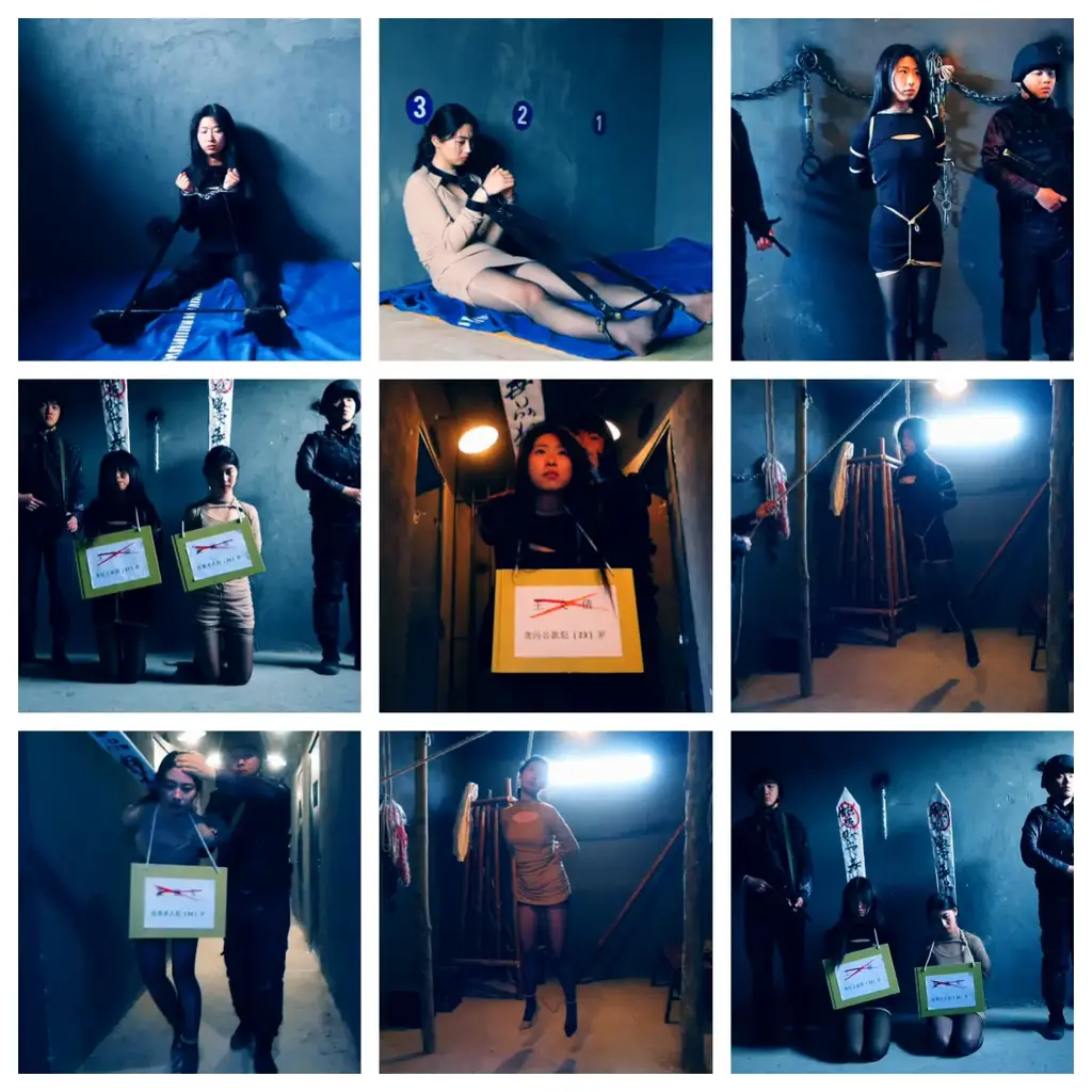 定拍转公映 四集法制连续剧《执行绞刑的女囚 》 第四集    王文倩和董丽雯她们被判处死刑，准备对她们执行绞刑处死 经过授权   王文倩和董丽雯她们被判处死刑，决定准备对她们执行绞刑处死，难得绞刑女犯视频，请欣赏视频，定拍QQ342642509