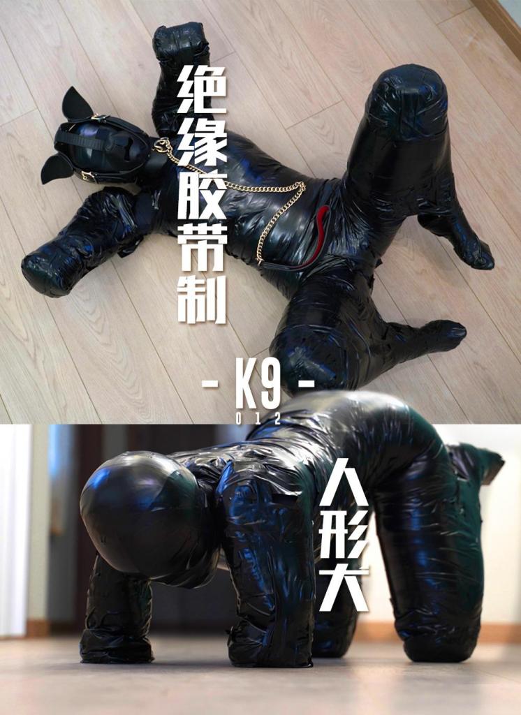 【闪闪工作室】- 绝缘胶带木乃伊人形犬 - 在宽阔的新场地大型遛狗 - 最近工作室准备搬迁了，新场地刚刚装修清洁好，还没有进驻，这么空旷的房间最适合用于K9了<br>新场地有很长的直线距离，要爬行横穿两端实在不容易，我测试过，走路也要20步<br>这次准备了一箱绝缘胶带，要把时雨捆成木乃伊人形犬<br>捆折手脚还是有点难度，尤其要在手肘和膝盖做保护，不然直接接触地面只会寸步难行<br>但即使垫了护膝，手肘还用上了双层厚垫，时雨还是爬得手脚通红，疼痛让她边爬边惨叫，这是后面的剧情<br>用了一个小时的包裹，终于把时雨变成了一只木乃伊人形犬，它在空旷的屋子里显得格外显眼<br>先让小狗作为导游到处爬爬，带大家参观一下新场地，小狗听话地开始努力跟着我指示的方向爬去<br>胶带的阻碍令它不能灵活地爬行，在绕了房子一圈时小狗已经开始体力不支，支支吾吾地发出难受的声音<br>看它艰难地听从我最后一个指令，在我的允许下躺下休息了，伴随着它气喘吁吁的呼吸声，这只小狗还是运动不足<br>让小狗简单休息一下后，我给它戴上K9的头套和项圈，系上了牵引绳，开始遛狗的模式<br>小狗只要跟不上我的速度，就会被我用力扯，让它加快速度，为了不会被扯脖子，它只好被迫继续爬，即使累得抬不起脚<br>溜了一圈，小狗已经带着哭腔了，就放下了牵引绳让它休息，没想到刚歇一会，它就扑到我身上，还用前脚把牵引绳拨弄给我，真是可爱又听话的小狗，应当给予奖励<br>在一番震动奖励后，还不能让她登顶，接下来是另一个小游戏<br>这个游戏是，胶带完全封闭，想要被揭开解救，必须到达我的所在位置，才会给它撕开胶带<br>第一次小狗很聪明，被封住嘴巴后马上动身往我这边爬，因为有视线，眼窗位置也会有小量透气，所以第二次时我把它的眼睛也封闭起来<br>第二次明显吃力多了，无法分辨方向也成为一大阻挠，我还是给了它声音提示，终于在气绝之前到达我身边，刚被撕开胶带就猛烈地喘气<br>第三次再上点难度，我没有给出提示，看它漫无目标地寻找<br>结果第三次它失败了，要接受咬的练习惩罚<br>惩罚过后是最后的奖励环节，但是这次奖励还戴上了充气的口塞，口塞联通一根呼吸管，再接上了呼吸袋<br>这个状态下维持小狗的跪姿再接受震动奖励<br><br>【网盘文件先下载到电脑，解压得出的文件后续名html修改为zip，再解压一次】<br>【不要在网盘解压与播放】<br>解压密码：shanshan