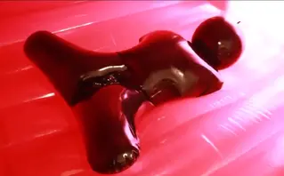 乳胶球球 。