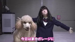【金币福利】人形狗训练篇（中文字幕） プーちゃんの足がなぜか遅いからガレージで 无露脸片段，象征性收取金币<br>如果你想看这个视频的幕后片段（包括露脸换装）你可以在妖狐吧购买【オフショット】プーちゃんのお迎え・猛特訓編 这个视频。<br>感谢各位新老粉丝支持，如果您喜欢我分享的femalemask、kigurumi、zentai等视频，请给我点一个关注，您对我的支持会给予我挖掘更多好看的视频动力！