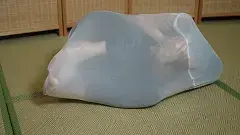 象人约拍-小0-双层洗衣袋束缚挣脱+渔网吊缚! 双手捆绑后装到洗衣袋里，套两层以后15分钟挣脱时间<br>挣脱失败被装到渔网里面，悬吊起来<br>——————————————————————————————————————————————<br>因为百度云经常和谐，所以尝试双层解压，<br>解压密码：xiangren123 第一次解压文件后缀改为zip，<br>原密码再次解压以后，把后缀改成mp4 即可观看<br>切勿在百度云中直接观看，容易被和谐!!!!!<br>线上定拍线下约拍。<br>QQ：192370054（注明来意）