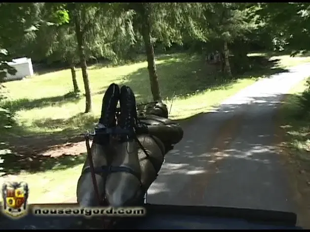 Hogtied and Hooded anna roes Hogtie hood ornament installation 安娜将成为连帽吉祥物。连帽如头，连帽如戴在兜帽上。那些束带把她压得紧紧的。这个恶作剧迫使她比平时安静一点，但我认为这个兜帽装饰在交通中仍然会引人注目。house of gord家具片