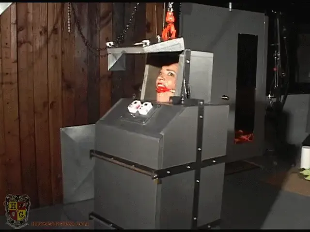 Dana DeArmand in the Punishment Box Dana DeArmand in the Punishment Box 莉迪亚女士为美丽迷人的达纳·德阿尔芒小姐策划了一些有趣的活动。Gord不是一个闲坐观看的人，他帮忙让他的“娱乐”游乐设施做好行动准备。Dana被固定在盒子里，然后被抬向天空，供大家娱乐。house of gord家具片