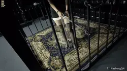 【娜绳工作室】【青柠】141贰青柠铁链挣扎-141贰 承诺：视频中的镣铐，可以加上视频中没呈现的镣铐，如果有需要的话，可以联系我<br>◀筒铐<br>◀玫瑰金<br>◀链铐<br>◀镣铐<br>◀脚铐<br>◀脚镣<br>等等等<br>制式的，井用的，<br>需要的联系我哦，可以联系我642462518<br><br>青柠被连体铐铐住在笼子中，全身带着连体铐，连体铐的终端还连在笼子中，说明最终还是逃不出笼子的范围<br>还因为青柠挣扎过渡的缘故，视频中可以看到，青柠还摔了一个大的屁股敦，可给青柠摔的实在是不轻，差点没摔哭了，但是其实仔细看看还是已经哭了的。<br>青柠的还铁链被牢牢地锁住，只有挣扎的力气，却没有逃出去的希望，镣铐挣扎碰撞着铁笼的栏杆，碰撞带出的响声，久久让人内心振奋<br><br>大号QQ：642462518，有需要的加<br>备用QQ：3681234217<br><br>绳缚镣铐体验室初步建成，欢迎前来咨询体验<br>地址是在黄岛<br><br>另外，工作室诚招模特，仅限女生（CD，跨女还请勿扰，多谢合作）欢迎咨询<br><br>➡需要定拍的可直接加我的联系方式，模特可接定拍，一般当天出片。<br><br>↓   ↓   ↓   ↓   ↓   ↓   ↓   ↓   ↓   ↓   <br>✅主页：https://www.linzijun.app/@nashenggzs<br>✅QQ：642462518   备用：3681234217<br>✅微信：Nashengliaokao<br>✅推：@NashengQN<br>↓   ↓   ↓   ↓   ↓   ↓   ↓   ↓   ↓   ↓   <br><br><br>---------------------------------------------------------------------------------------------------------------------------------------------------------------------<br>㊙【解压密码】[-H] nana2023     在下载后解压的文件里  为防止被封，建议根据所给的提示请修改后缀名后观看。建议下载后观看，防止被封，请勿在线观看。如果是电脑端，可下载后修改后缀名可观看 [-H]<br>---------------------------------------------------------------------------------------------------------------------------------------------------------------------<br>