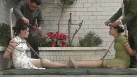新胭脂扣定拍 大义无畏5 三 剧情接上集，玉润和陆黎两位女英雄在墙根蹲的腿软脚麻，被特务拉走，背靠背绑在立柱上，鞭打，随后又被海老缚并排绑坐在桌子上（本人最喜欢的镜头之玉润海老缚），带上口球放置，口水止不住的拉丝留下来，随着烈日的炙烤，两人筋疲力尽，饥渴难耐，被特务引诱喂水，眼睁睁看着清水在眼前喝不到。而后两位女英雄被关进牢房，等待处决。特务细心的将两人捆成两种不同的手脚连缚姿势，玉润双脚交叉驷马，陆黎海老缚，以防止两人互相解绳逃脱。两位女英雄不甘心等待处决，依然相互安慰尝试挣脱，但是被特务绑的太紧，绳索刚刚有一些松动就被特务发现，特务又将两女的绳索牢牢加固，玉润陆黎彻底没有逃脱的希望，绝望大骂。最后两女被五花大绑插上斩标，押赴刑场。处决前，特务对两女的束缚依然谨慎，玉润和陆黎的丝袜小脚顶在一起，脚对脚的绑坐，膝盖的绑绳和脖子连在一起，这样既能防止两位女英雄脱缚，又能让姐妹俩眼睁睁地看着姐妹被处决。姐妹俩不甘的挣扎，但也只是两人的丝袜小脚贴在一起扭动，身上的绳子无法松动分毫。最后，两位女英雄坚定的目光交会，齐齐高呼口号，特务见状气急败坏的用口球将姐妹俩的嘴堵住，两声枪响，两位女英雄香消玉殒。<br>各位师兄有什么好的见解个想法，欢迎交流，有好的剧本更是希望不吝赐教，创作不易，还请各位多多支持，亮点都在剧情里，文戏同样精彩。
