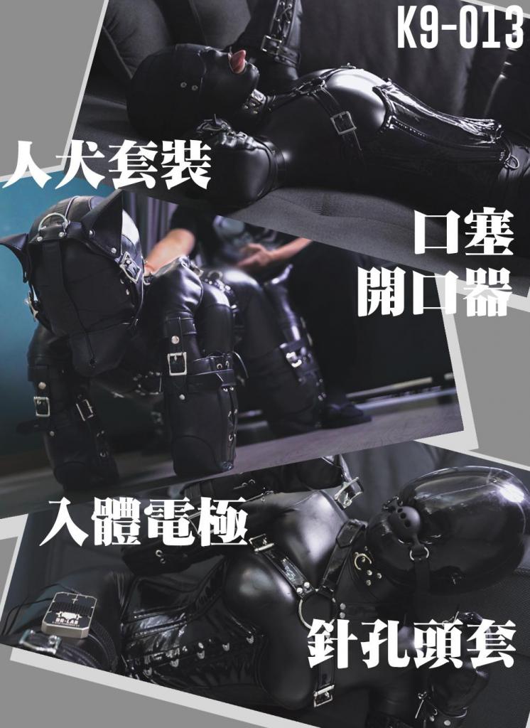 【闪闪工作室】-时雨的两周年纪念作-两洞电极-她的爱好依然是宠物扮演，最乖巧人形犬上线 转眼和时雨认识两年了，这次我来复刻一下自己的作品——时雨的第一部K9<br>这次的装备与之前基本相同，但也有稍加难度，先戴上眼罩和充气口塞，再戴K9头套，这样就比以前更严密了，毕竟现在的时雨等级高了不少<br>她在地上爬行已经很熟练，但还是疏于锻炼的原因，动作不是很灵活的样子，而且没有视线，只能按着我的提示爬行前进<br>让她爬行一圈回到我的脚前，她摸索着趴在我面前，时雨的身体软软的，就算隔着紧身衣也很好摸，只要触碰到就会忍不住一直捏，而她敏感的身体也马上给出回应，像抚摸一只发情的小狗，不对，就是一只小狗<br>让小狗趴下，从它的后面给予一些震动奖励，小狗马上嗷嗷叫起来，我把它的头扯起来好好看镜头，发现这个后仰头动作会令它无法呼吸，维持一段时间后它口水都流出来了<br>把口塞换成开口器，小狗马上把舌头伸出来，于是便让它作为斐济碑，跪在我面前开始服务<br>在开口器的作用下，它的口水更是肆无忌惮地横流，把我的脚和沙发都弄湿了，地板更是到处都是<br>为了惩罚这到处流口水的小狗，我用上了郊狼，只是电极换成了卵和塞，都是入体的<br>小狗两洞被塞满，被电得高声尖叫，叫声很快变成哭声，彷佛在哀求，连舌头都开始抖动起来<br>在这个状态下还要被命令爬行，稍微爬太慢我就会升档，于是它后来爬得很快，口水也浇灌了全屋<br>被呼控的小狗也是我们的爱好，应该是我的爱好，她爱好我的爱好<br>两年前是呼吸头套，有个大孔换气，后来气孔被口球塞住<br>这次是针孔头套，难度暴涨，同样也会被口球塞住<br>已经遭受了近两小时的犬化，体力已经有所下降，这个状态下爬行想必是痛苦的，不对，它本来就是小狗<br>被戴上口球之后，呼吸的间隙几乎没有了，就是它全力的吸气也只能听到尖锐丝丝的气流声<br>而且还是听命令继续爬行，称最乖巧的小狗名副其实<br>小狗的努力表现值得嘉许，最好照例让它好好享受一番，但我还是给它把针孔头套戴好，它顺从得一点反抗都没有<br>关于对它的强高我已是得心应手，震动节奏和位置也是烂熟，只需一会功夫就把小狗弄得直冲天际<br>在它神智不清时会喊我主人，这是我教她的兴奋反应<br>这次把它兴奋得全身抽搐，只要在特定位置稍加用力，马上又能欣赏一次抖动表演，并且抖动时呼吸是暂停的，可能这就是只顾着爽顾不上呼吸了吧<br>这期时长有点长，游戏项目比较多，本来还想把小狗悬吊起来，但是时雨的体力属实支持不下去了，这个计划就留作下次吧，希望未来大家还会继续喜欢时雨，多多支持她<br><br>【网盘文件先下载到电脑，解压得出的文件后续名html修改为zip，再解压一次】<br>【不要在网盘解压与播放】<br>解压密码：shanshan